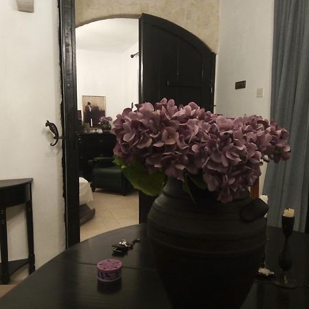 Villa Victoria Gradac  Zewnętrze zdjęcie