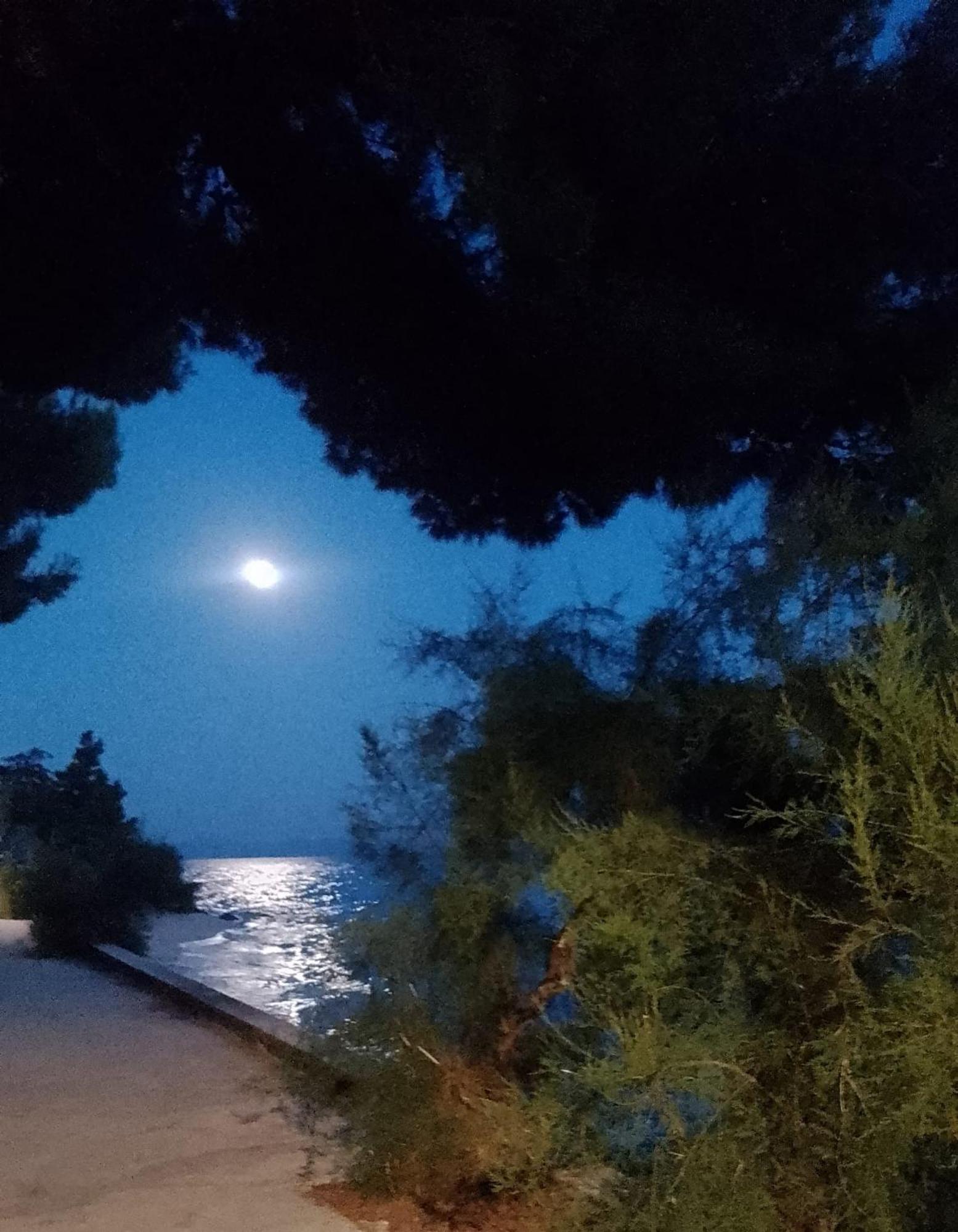 Villa Victoria Gradac  Zewnętrze zdjęcie