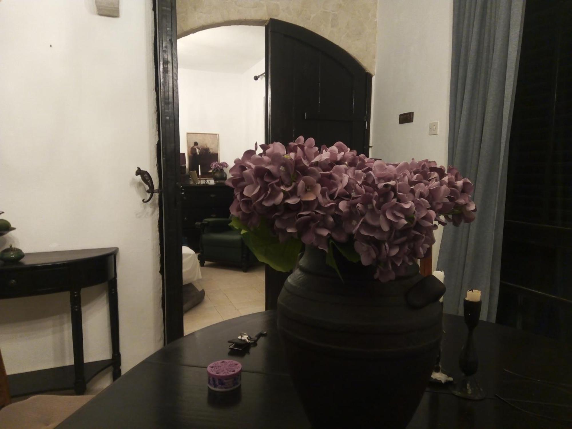 Villa Victoria Gradac  Zewnętrze zdjęcie